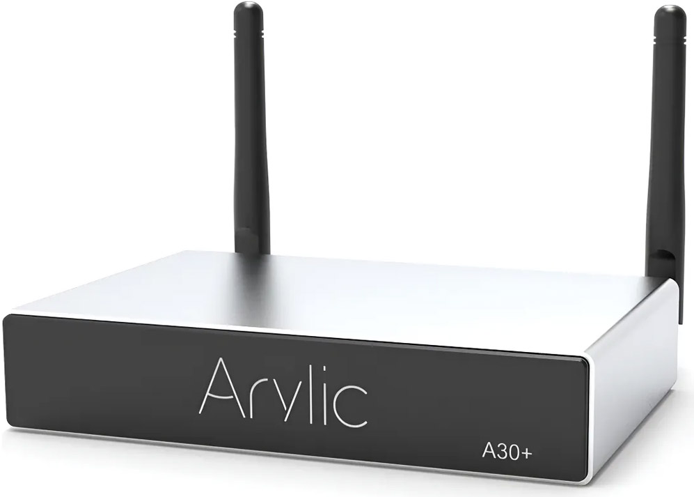 Arylic A30+